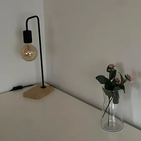 Puijonkatu Lägenhet *